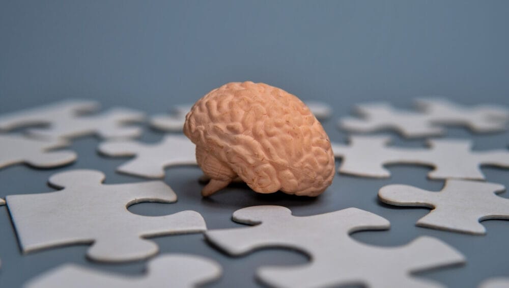 Model mózgu pośród elementów układanki symbolizuje prewencję w chorobach neurologicznych.