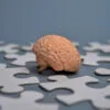 Model mózgu pośród elementów układanki symbolizuje prewencję w chorobach neurologicznych.