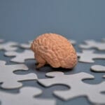 Model mózgu pośród elementów układanki symbolizuje prewencję w chorobach neurologicznych.