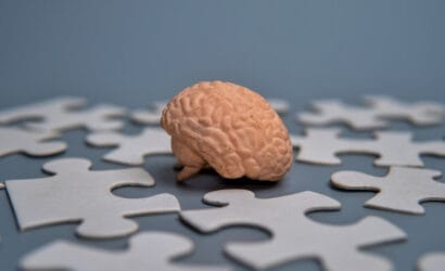 Model mózgu pośród elementów układanki symbolizuje prewencję w chorobach neurologicznych.