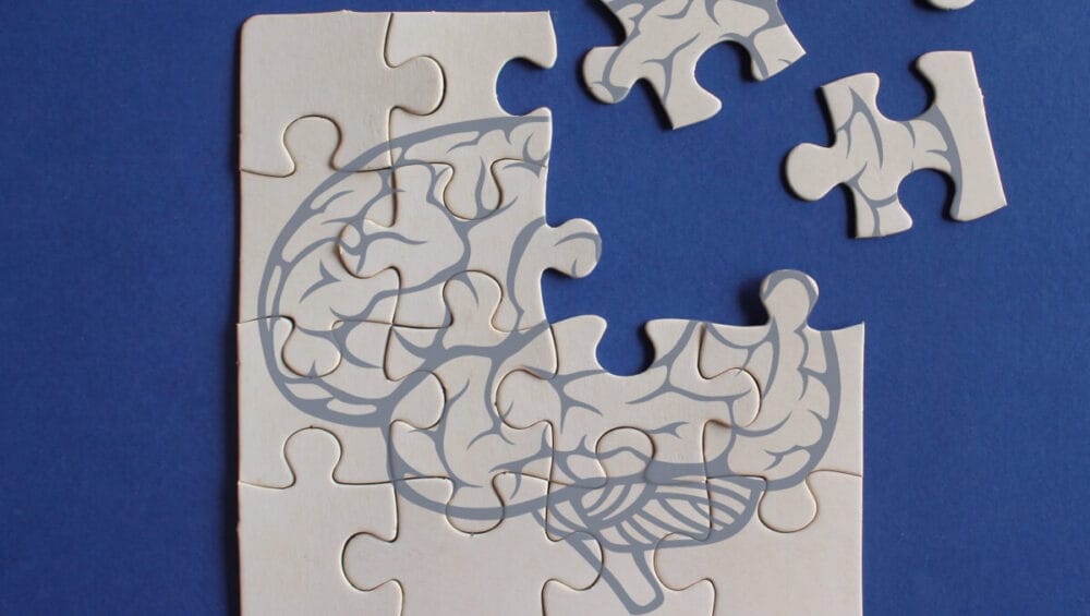 Puzzle z obrazem mózgu symbolizują naturalne wsparcie dla pamięci i koncentracji.