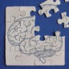 Puzzle z obrazem mózgu symbolizują naturalne wsparcie dla pamięci i koncentracji.